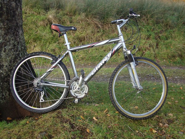 Giant Rock silver mountain bike for sale